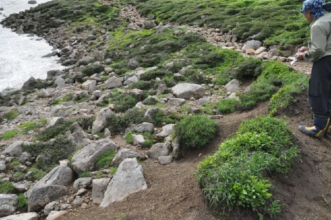chousa20100731.jpg