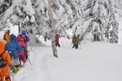 snowshoe.jpg
