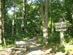 forestpark.jpg